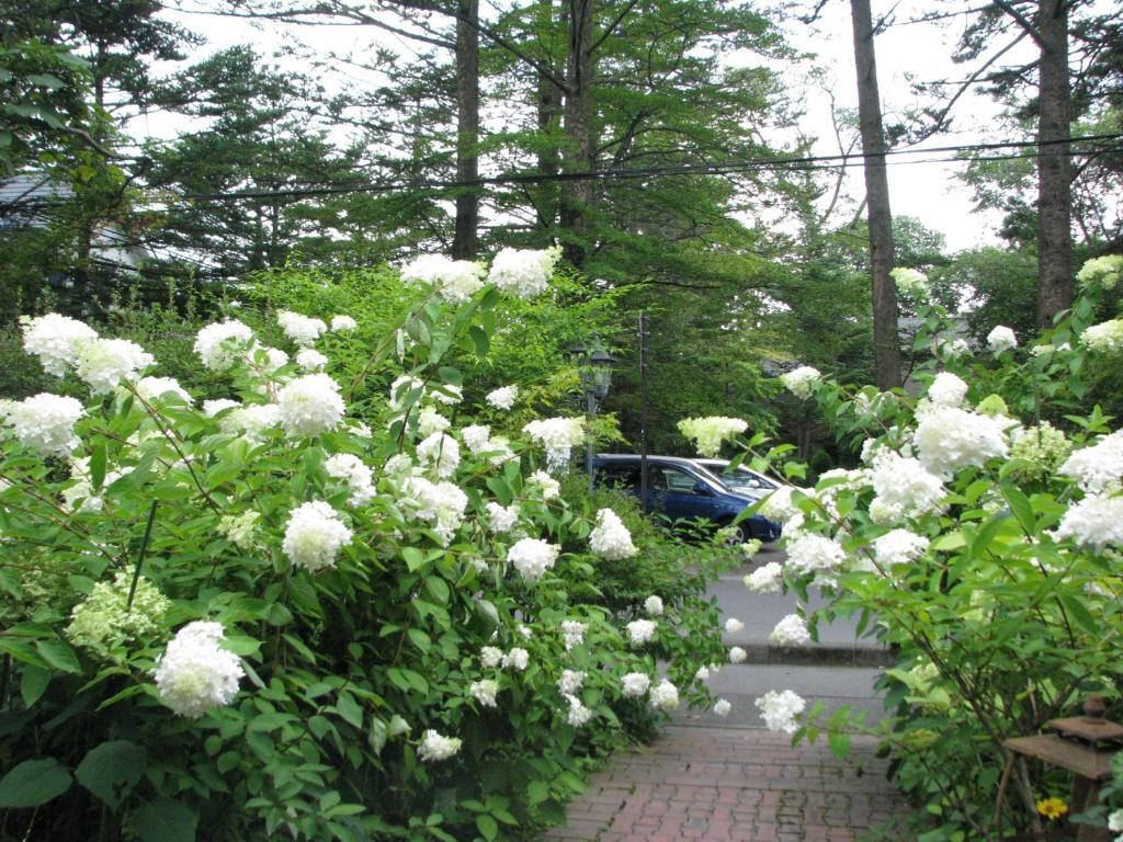 Hotel De Karuizawa Wald Kültér fotó